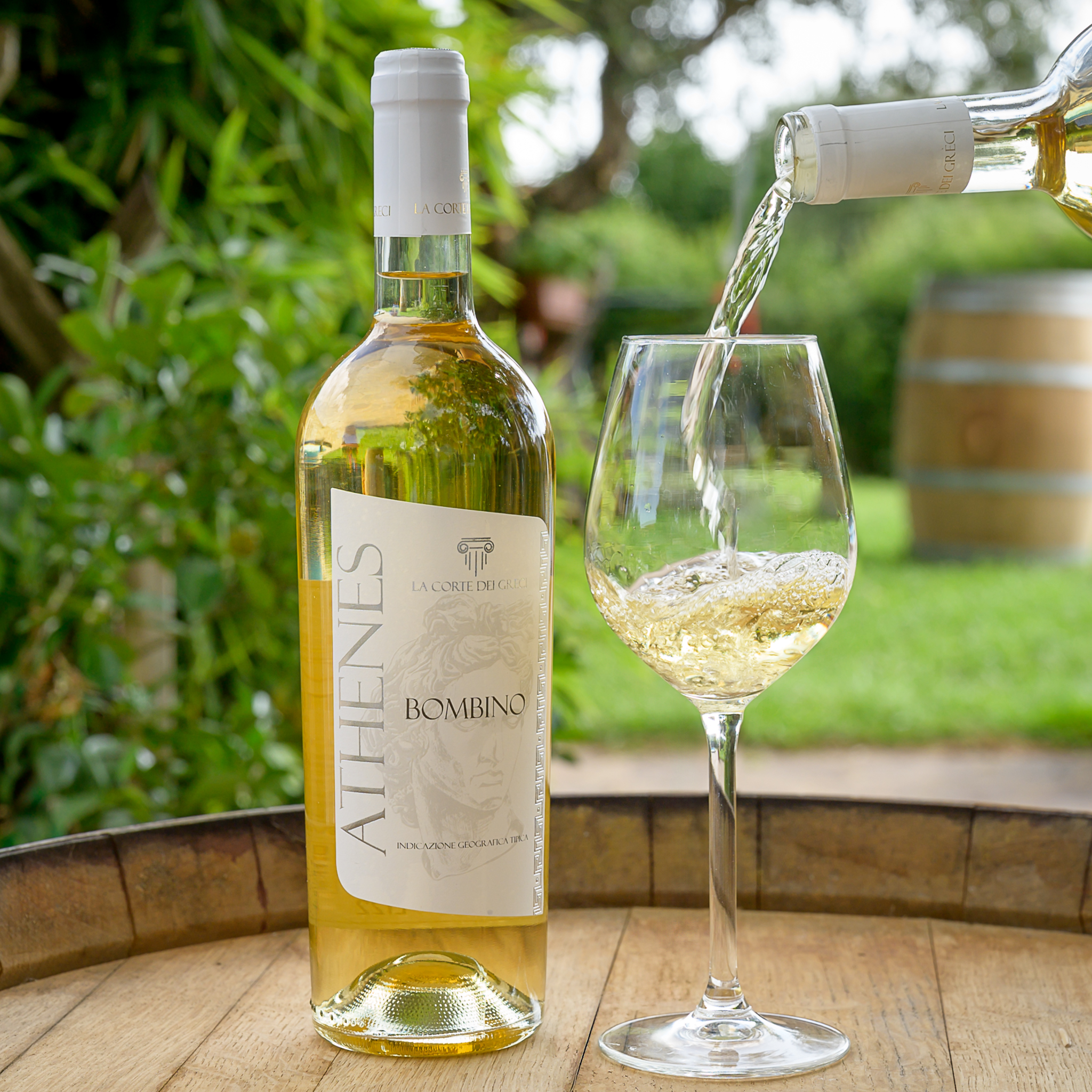 ATHENES – Bombino IGT LAZIO BIANCO 2023 - immagine 2