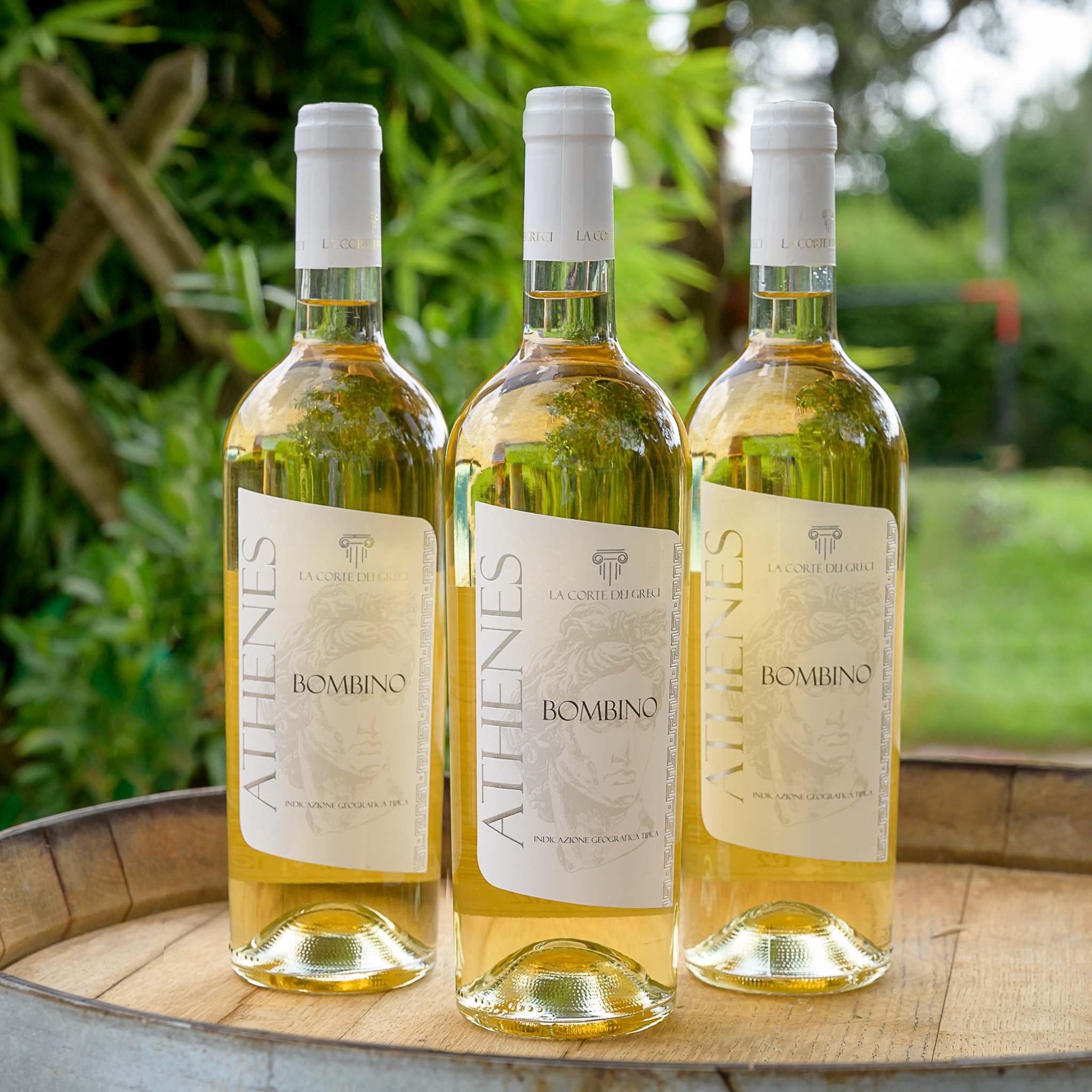 ATHENES – Bombino IGT LAZIO BIANCO 2023 - immagine 3