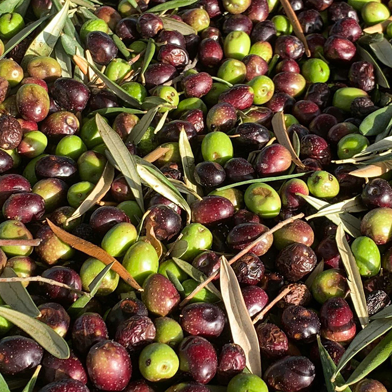 bloccoprocessoproduttivo